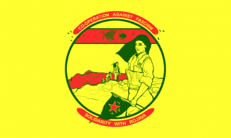 Solidarity with Rojava Flag, which reads "Co-operation against fascism, Solidarity with Rojava."