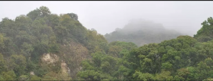 The Sierra Norte mountains in Puebla, home of Tosepan. Photo by Alejandrolinaresgarcia, Wikimedia Commons