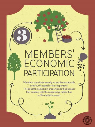 Principle 3: Member Economic Participation