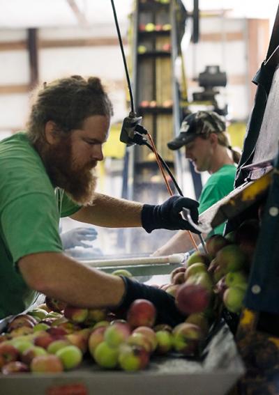 Farmer Andy Hamilton of Musgrave Farms, an Indiana cider mill whose products are labeled P6 at Bloomingfoods in Bloomington, IN