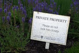 photo by Quinn Dombrowski