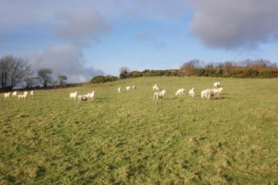 Photo by Roger Cornfoot. CC BY-SA 2.0