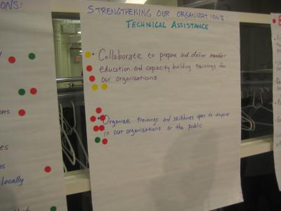 We did a very popular dotocracy exercise to determine priorities for building movement and collaboration.