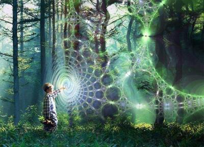 web of energy