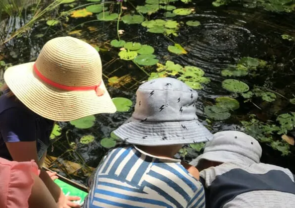 Children around a fish pond.