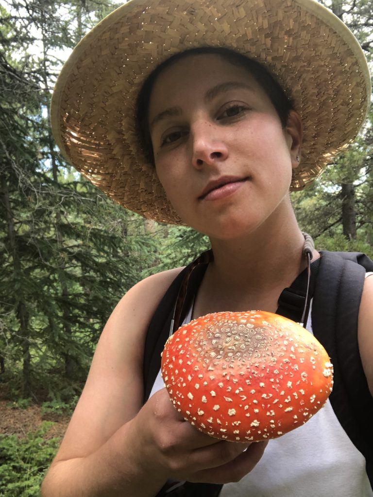 Mercedes Perez-Whitman