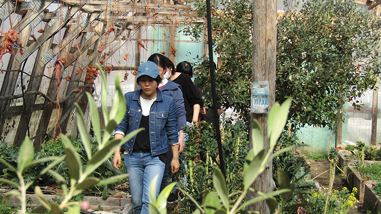 Women walking through a greenhouse.