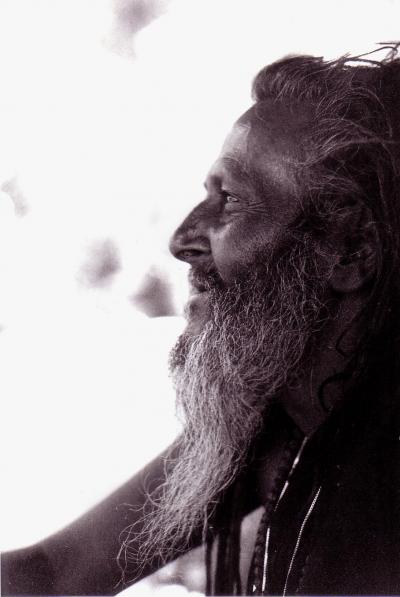 Kali Baba. Photo by Liz Grover.