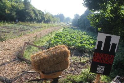 Photo via <a data-cke-saved-href="https://detroitblackfoodsecurity.org/d-town-farms/" href="https://detroitblackfoodsecurity.org/d-town-farms/" target="_blank">Detroit Black Food Security Network</a>.