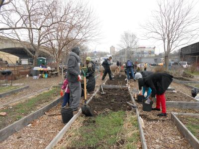 Photo via <a href="http://www.citizensnyc.org/grantee/la-finca-del-sursouth-bronx-farmers" target="_blank">Citizens Committee for New York City</a>.